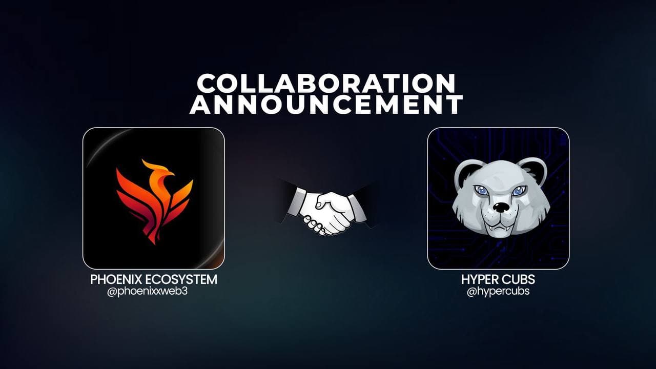 PHOENIX 🤝 HYPERCUBS