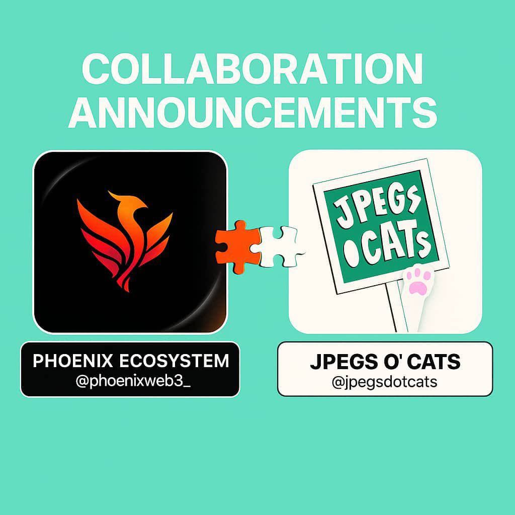 PHOENIX 🤝 JPEG O' CATS